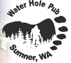 waterhole pub logo