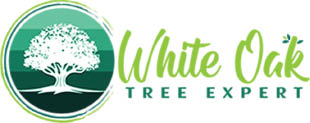 white oak tree expert logo
