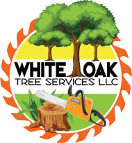 white oak tree services llc logo