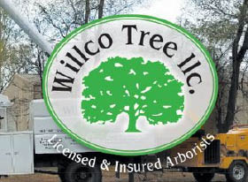 willco tree service logo