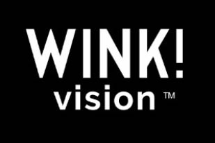 wink vision logo