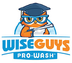 wiseguys pro-wash logo
