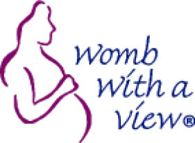 womb with a view logo