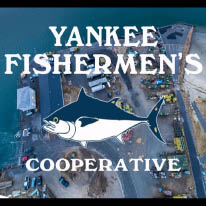 yankee fishermen's co-op logo