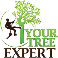 your tree's expert logo