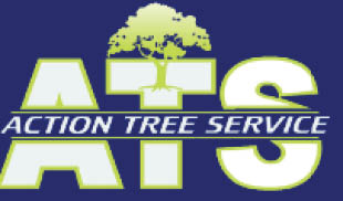 action tree service logo
