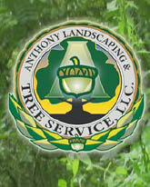 anthony tree service logo
