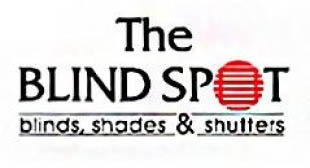 the blind spot logo