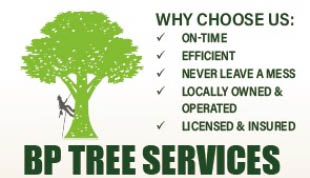 bp tree services logo