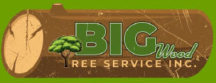 big wood tree service logo