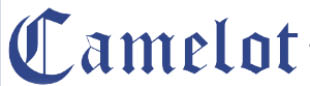 camelot counseling logo