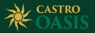castro oasis car wash logo