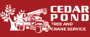 cedar pond tree & crane logo