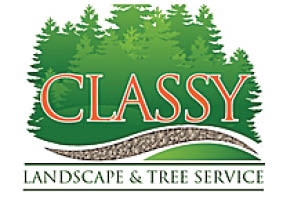 classy lawn  service landscaping**pp** logo