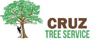 cruz tree service logo