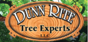dunn rite tree experts logo