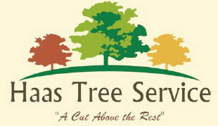 haas tree service logo