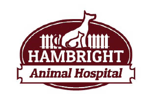 hambright animal hospital logo