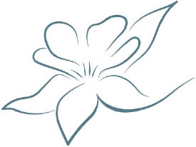 the hidden stem logo