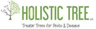 holistic tree, llc logo
