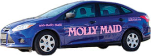 molly maids logo