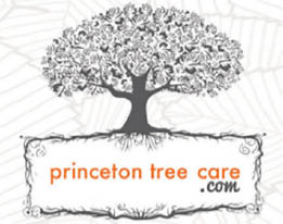 princeton tree care logo