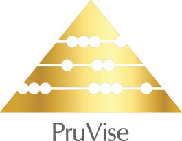 pruvise logo