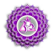 raj holistic healing spa logo