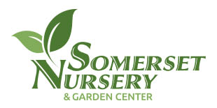 fisher & son/ somerset nursery logo