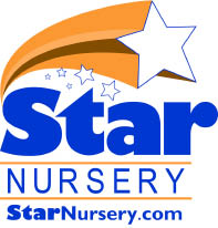 star nursery logo