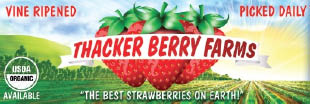 thacker berry farms logo
