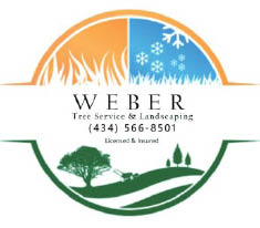 weber tree service and landscaping logo